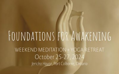 Foundations for Awakening Weekend | Oct 25-27 2024