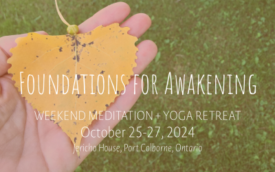 Foundations for Awakening Weekend | Oct 2024