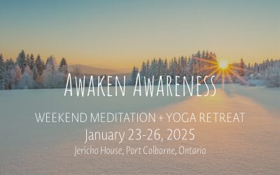 Awaken Awareness Weekend | Jan 23-26, 2025