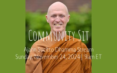 Community Sit: Virtual Dhamma Stream | Nov 24