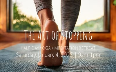 The Art of Stopping | Jan 4